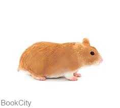 Hamster 387236