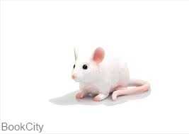 Mouse 387235
