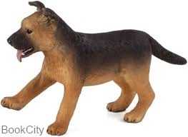 German Shepherd Puppy 387261