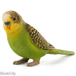 Budgeriger 387262