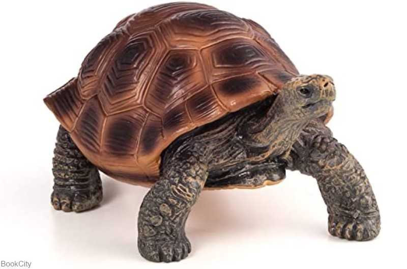 Giant Turtle 387259