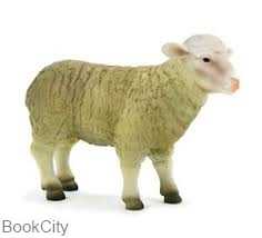 Ewe 387096