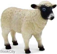 Black Faced Ewe 387058