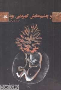 و چشم‌هایش کهربایی بود