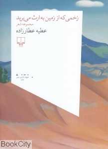 زخمی که از زمین به ارث می‌برید (مجموعه شعر)