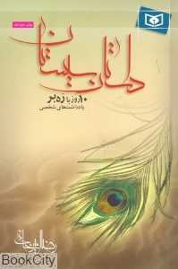 داستان سیستان ( 10 روز ره‌بر)