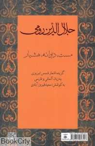 جلال‌الدین رومی (مست دیوانه هوشیار)