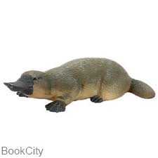 Duck Billed Platypus 387106