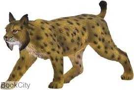 Iberian Lynx 387064