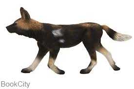 African Painted Dog 387110
