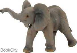 African Elephant Calf 387002