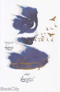 سکوت بی‌تاب