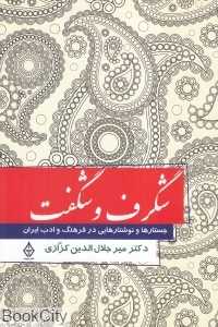 شگرف و شگفت (جستارها و نوشتارهایی در فرهنگ و ادب ایران) (ترنگ)