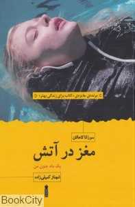 مغز در آتش (یک ماه جنون من)