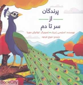 پرندگان از سر تا دم (شومیز)