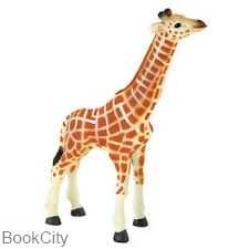 Giraffe Calf 387007