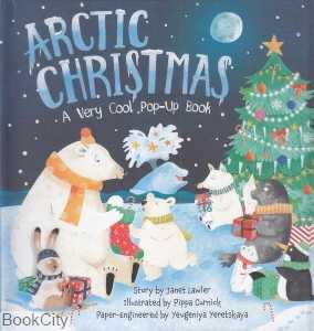 Arctic Christmas