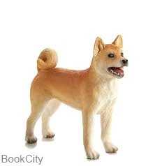 Shiba Inu 387140