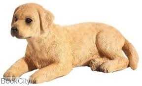 Labrador Puppy 387272
