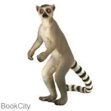 Ringtail Lemur 387177