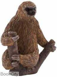 Two Toed Sloth 387180
