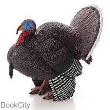 Male Turkey 387285