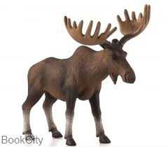 Moose 387023