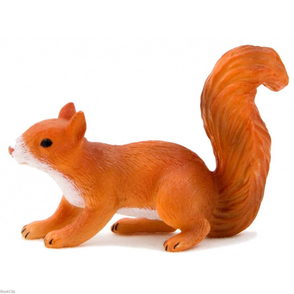 Squirrel 387032