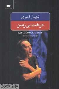 درخت بی‌زمین