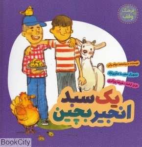 یک سبد انجیر بچین (فرهنگ وقف)