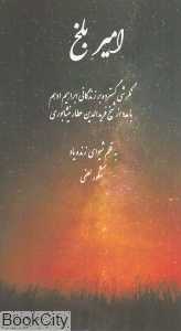 امیر بلخ