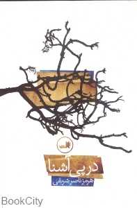 در پی آشنا