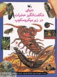 دنیای شگفت‌انگیز حشرات در زیر میکروسکوپ