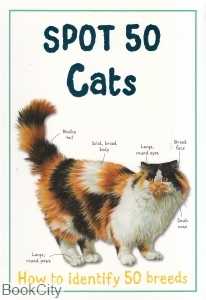 Spot 50 Cats