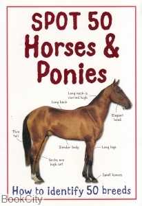 Spot 50 Horses and Ponies
