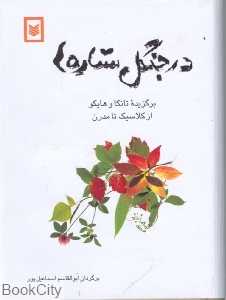 در جنگل ستاره‌ها