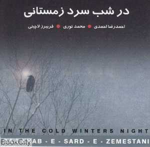 در شب سرد زمستانی