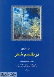در طلسم شعر (منتخب چهار دفتر شعر)