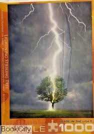 پازل Lightning Striking Tree 1000pcs 4570