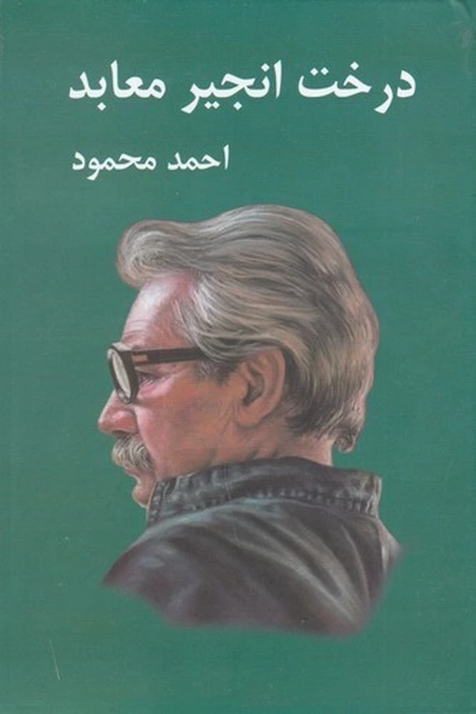 درخت انجیر معابد (2 جلدی)