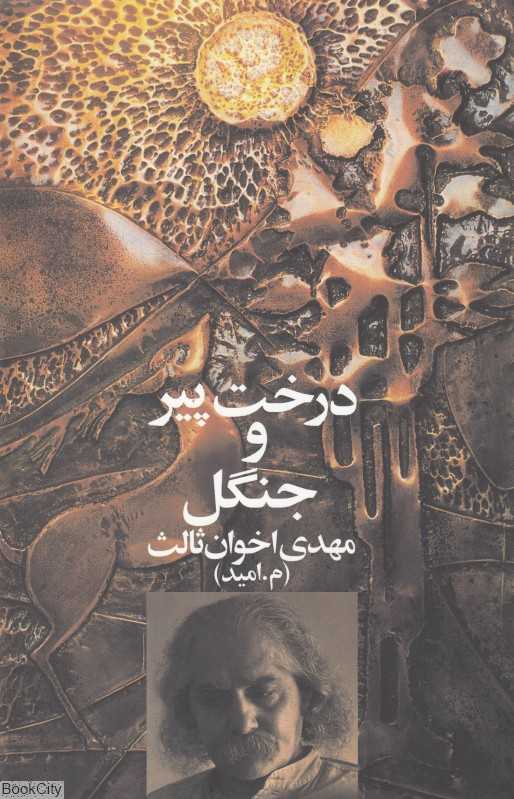 درخت پیر و جنگل