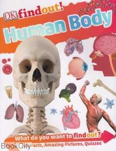 Human Body 5077