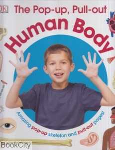 Human Body 7654