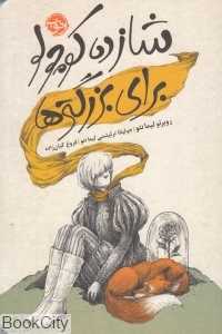 شازده کوچولو برای بزرگترها