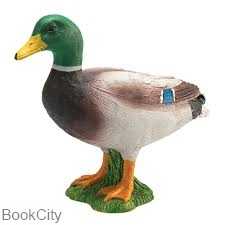 Mallard Duck Male 387127