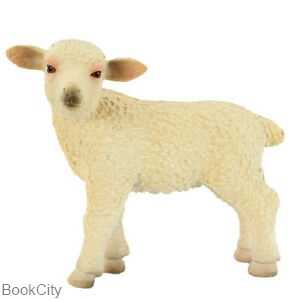 Lamb 387098