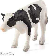 Holstein Calf 387061