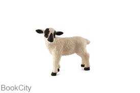 Black Faced Lamb 387059