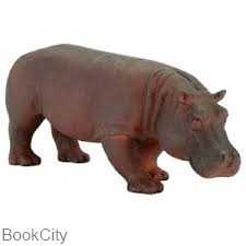 Hippopotamus Female 387104