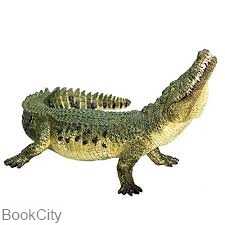Crocodile With Moving Jaw 387162